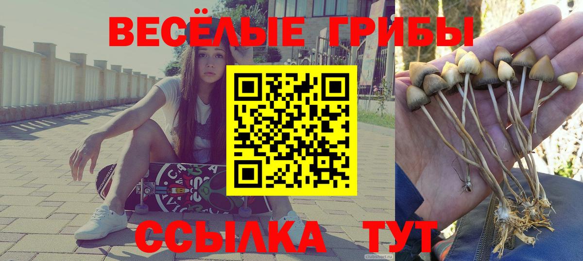 Галлюциногенные грибы мицелий Рыбинск