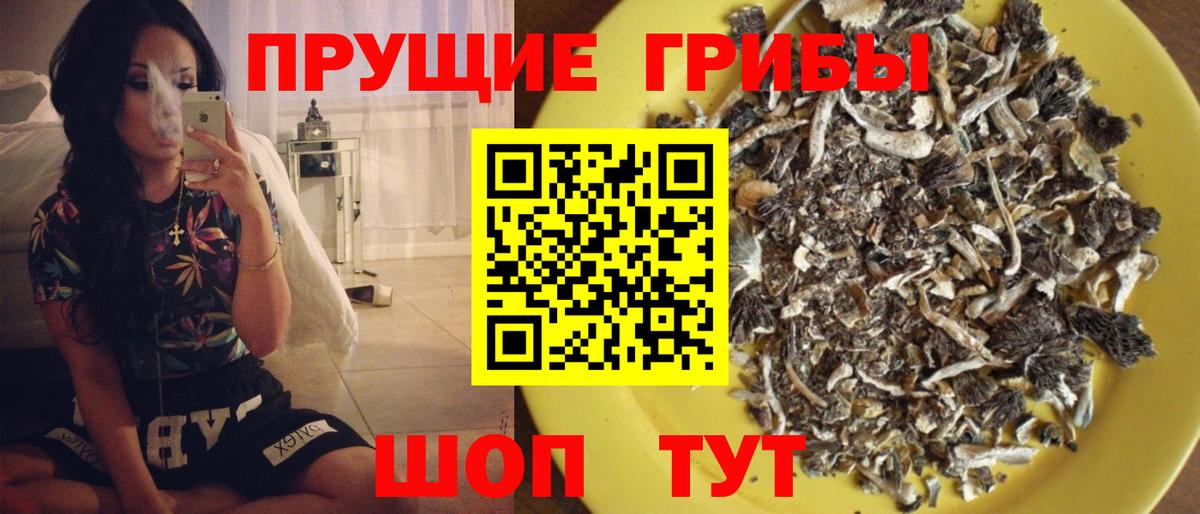 Рыбинск  Галлюциногенные грибы мухоморы  Вход с VPN 
